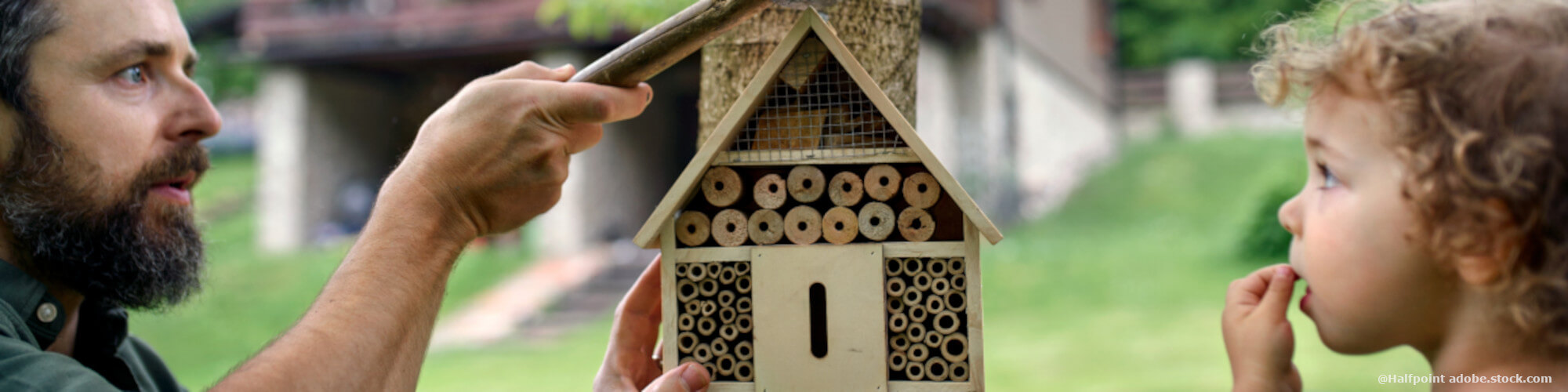 Nisthilfen für Bienen selbst bauen