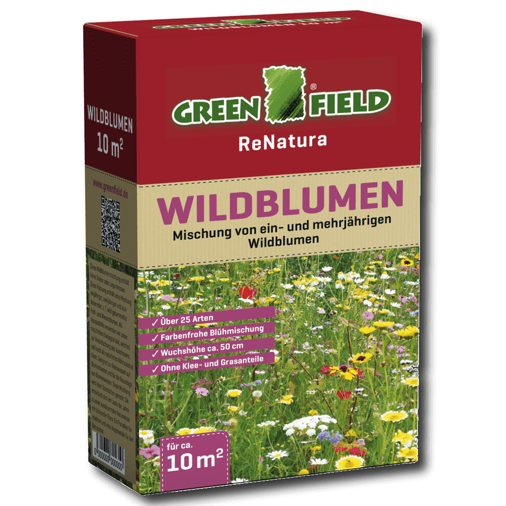 Greenfield Wildblumen (mehrjährig)